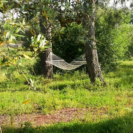 Che Trullo Piscina Jacuzzi Pallavolo Villa